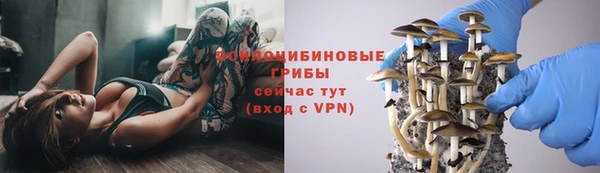 2c-b Алзамай