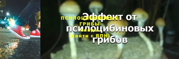 2c-b Алзамай